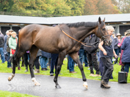 WG031025-58 - Jaramillo